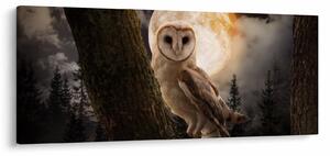 Egy gyöngybagoly képe (120x50 cm)