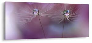 A cseppek képe a bolyhon (120x50 cm)