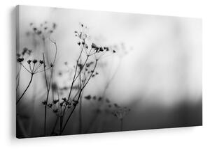 Kép - Réti virágok részlete (90x60 cm)