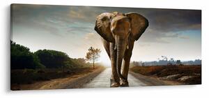 Elefánt képe (120x50 cm)