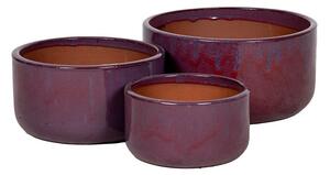 Briggs Cylinder kerámia növénytartó szett burgundi 24x13-37x20cm S3