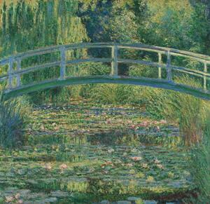 Monet, Claude - Festmény reprodukció Vízililiom tó, (40 x 40 cm)