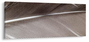 Absztrakt kép szálak (120x50 cm)