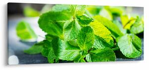 A menta képe (120x50 cm)