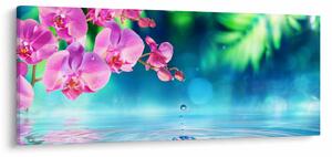 Kép - Orchidea (120x50 cm)