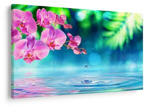 Kép - Orchidea (90x60 cm)