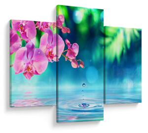 Kép - Orchidea (90x60 cm)