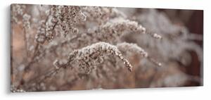 A növények képe (120x50 cm)