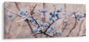 Bogyók egy bokor képe (120x50 cm)