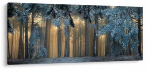 A havas erdő képe (120x50 cm)