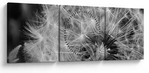Kép - pitypang pehely (órával) (90x30 cm)