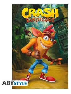 Crash Bandicoot "Classic Crash" 91,5x61 cm poszter