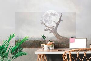 Öntapadó tapéta hold egy fa karjában