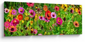 Réti virágok képe (órával) (90x30 cm)