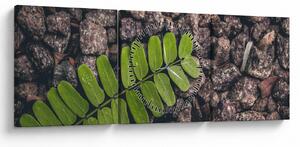 Zöld növények képe (órával) (90x30 cm)