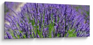 Kép - levandula (órával) (90x30 cm)