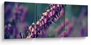 Levandula képe (órával) (90x30 cm)