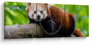 A vörös panda képe (órával) (90x30 cm)