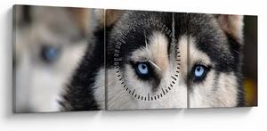 Husky kutya kép (órával) (90x30 cm)