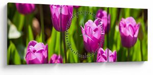 Tulipánok a réten képe (órával) (90x30 cm)