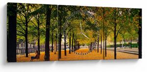 Egy kép az őszi fák sikátorából (órával) (90x30 cm)