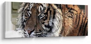 Tigris képe (órával) (90x30 cm)