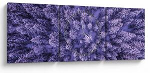 Havas fák képe (órával) (90x30 cm)