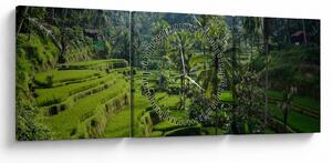 Kép a rizs teraszokról, Tegalalang, Bal (órával) (90x30 cm)
