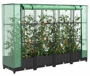 Rattan hatású magaságyás üvegháztakaróval 160 x 40 x 123 cm