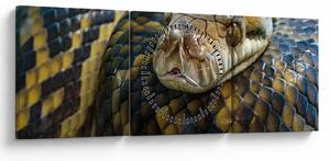 Kép - Piton (órával) (90x30 cm)