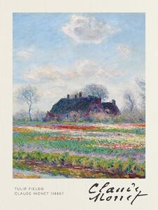 Festmény reprodukció Tulip Fields - Claude Monet, (30 x 40 cm)