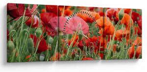 Egy kép a pipacs mezőről (órával) (90x30 cm)