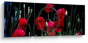 Kép - Pipacsok tánca (órával) (90x30 cm)