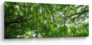 Kép - Kilátás a fák tetejére (órával) (90x30 cm)