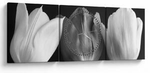 Kép - fekete-fehér tulipán virág (órával) (90x30 cm)