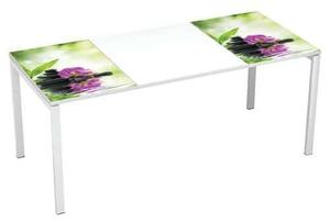 Manutan Easy Office irodai asztal, 180 x 80 x 75 cm, bambusz