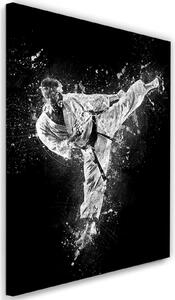 Gario Vászonkép Karate - Cornel Vlad Méret: 40 x 60 cm