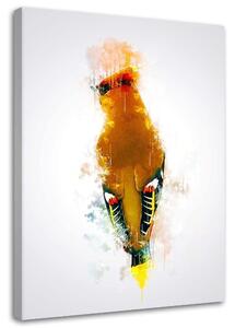Gario Vászonkép Narancssárga harkály - Cornel Vlad Méret: 40 x 60 cm