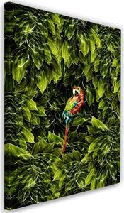 Gario Vászonkép Papagáj a levelekben - Rubiant Méret: 40 x 60 cm