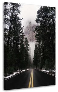 Gario Vászonkép Út a ködös erdőben - Nikita Abakumov Méret: 40 x 60 cm