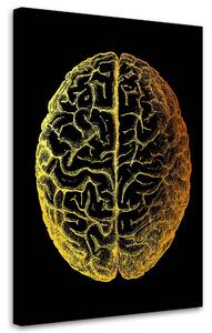 Gario Vászonkép Arany anatómia, az agy teteje - Gab Fernando Méret: 40 x 60 cm