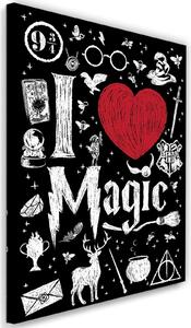Gario Vászonkép Harry Potter, szeretem a varázslatot - Dr.Monekers Méret: 40 x 60 cm