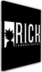 Gario Vászonkép R.I.C.K.K. labs animációs sorozat - Dr.Monekers Méret: 40 x 60 cm