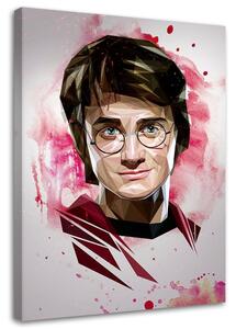 Gario Vászonkép Harry Potter, varázsló - Dmitry Belov Méret: 40 x 60 cm