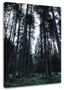 Gario Vászonkép Erdő egy felhos napon - Dmitry Belov Méret: 40 x 60 cm
