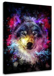 Gario Vászonkép Színes farkas - Dmitry Belov Méret: 40 x 60 cm
