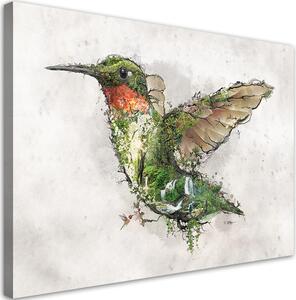 Gario Vászonkép Kolibri és a varázslatos erdő - Barrett Biggers Méret: 60 x 40 cm