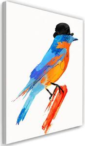 Gario Vászonkép Színes madár kalapban - Robert Farkas Méret: 40 x 60 cm