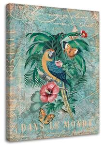Gario Vászonkép Papagáj és pillangók - Andrea Haase Méret: 40 x 60 cm