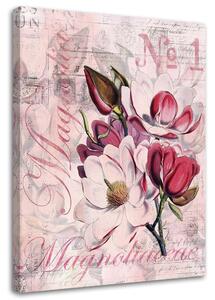 Gario Vászonkép Magnóliák rózsaszín pergamenre - Andrea Haase Méret: 40 x 60 cm